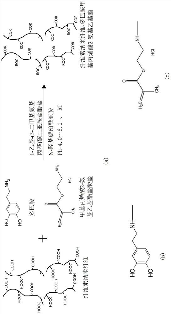 Direct writing type 3D printing bio-ink and preparation method thereof