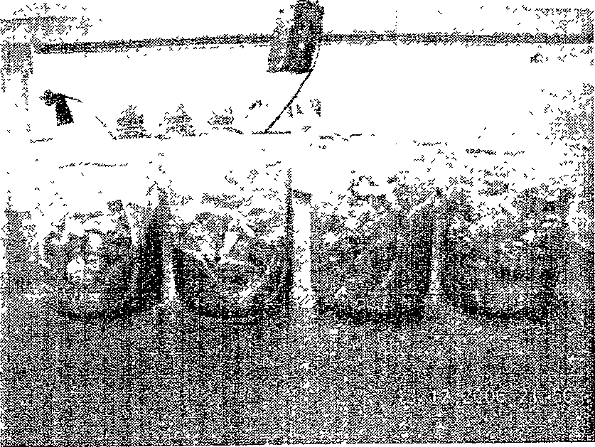 Method for treating wastewater by technique of sludge decrement type biomembrane piled ball packing