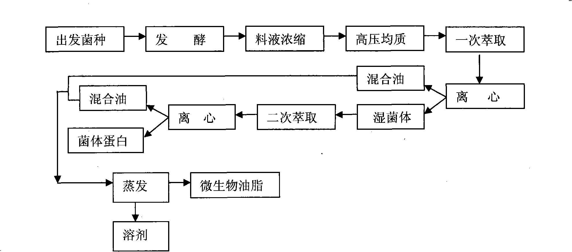 Separation and extraction method of microbial oil