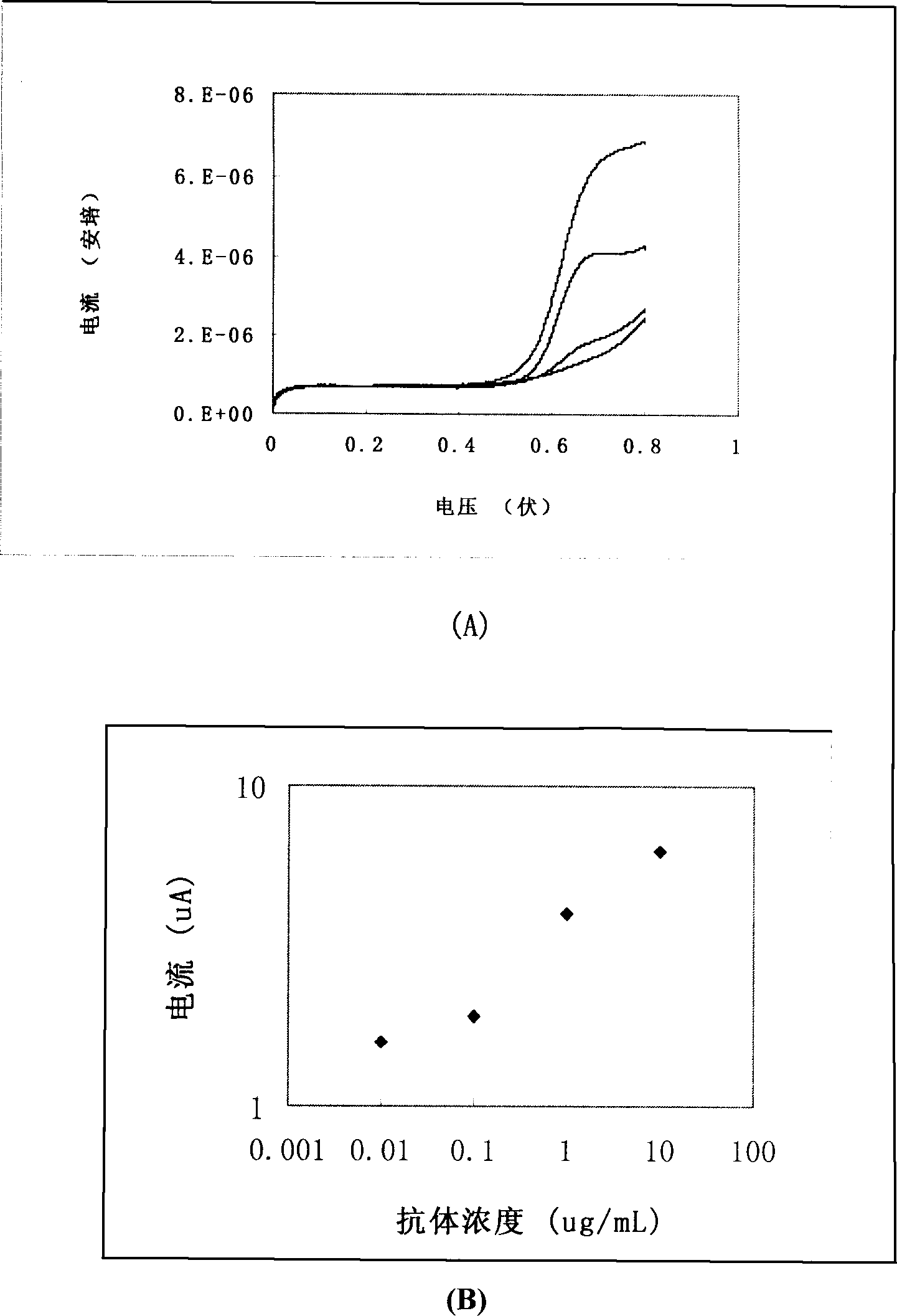 Paper strip for quantitative electrochemical biological test