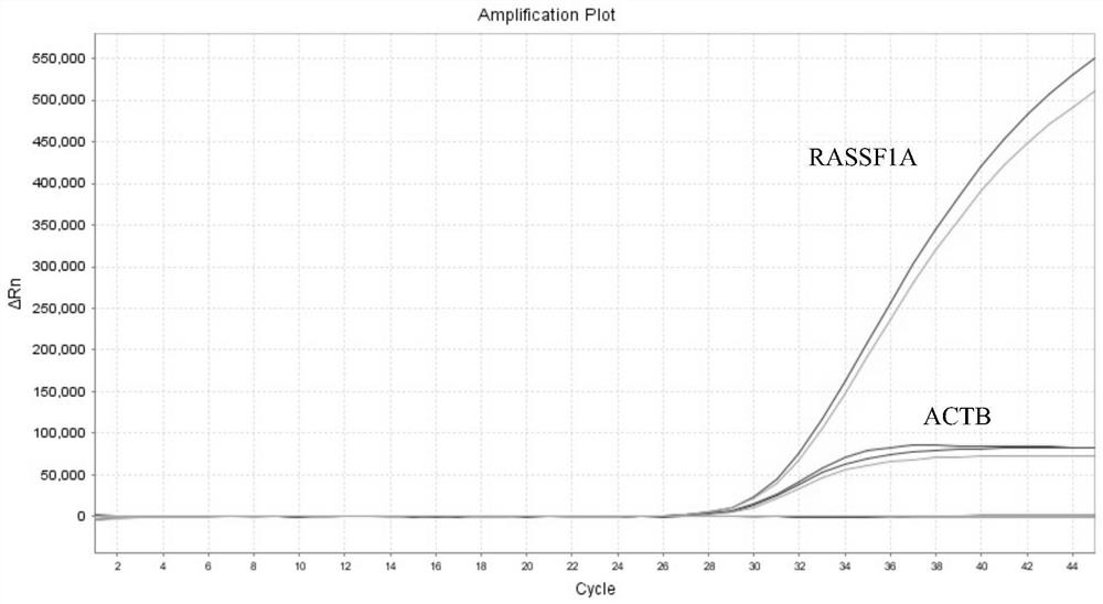 Nucleic acid composition, kit and detection method for detecting methylation of breast cancer related genes