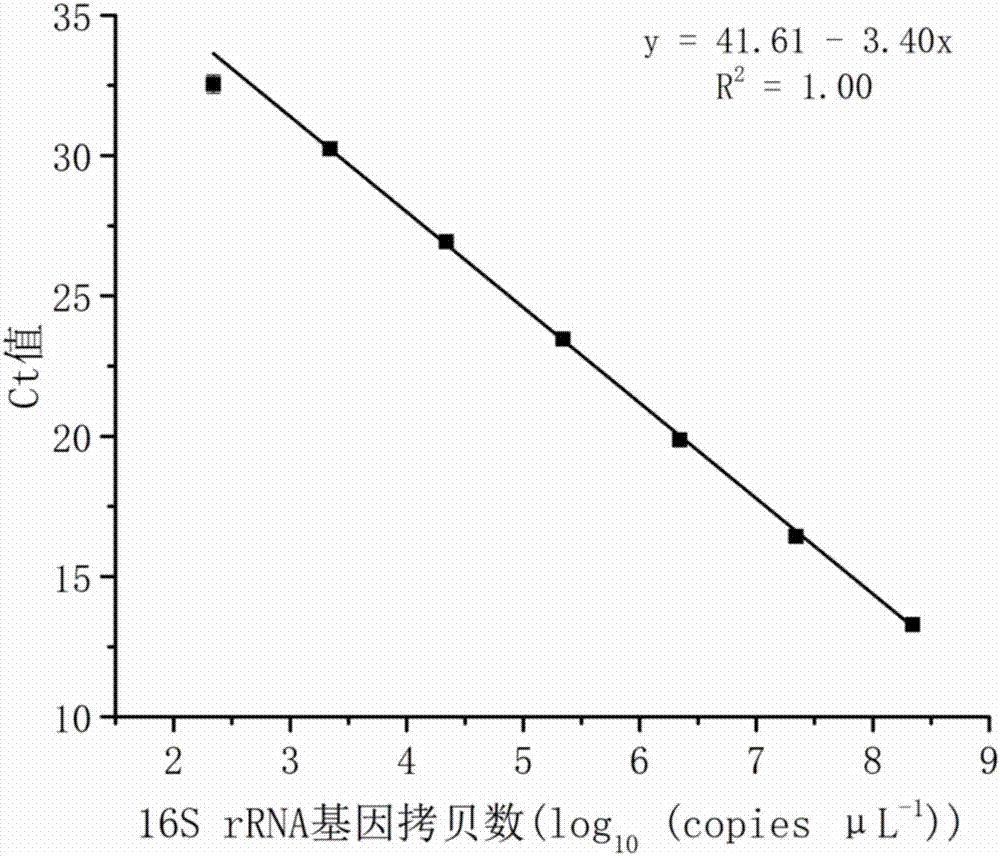 Method for determining absolute abundance of microbial community structure in environment