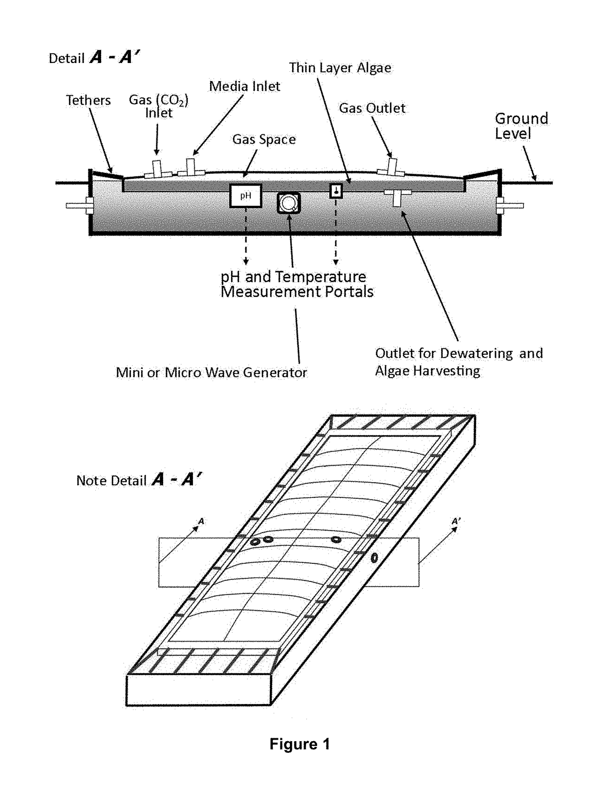 Photobioreactor for enclosed horizontal cultivation of microalgae