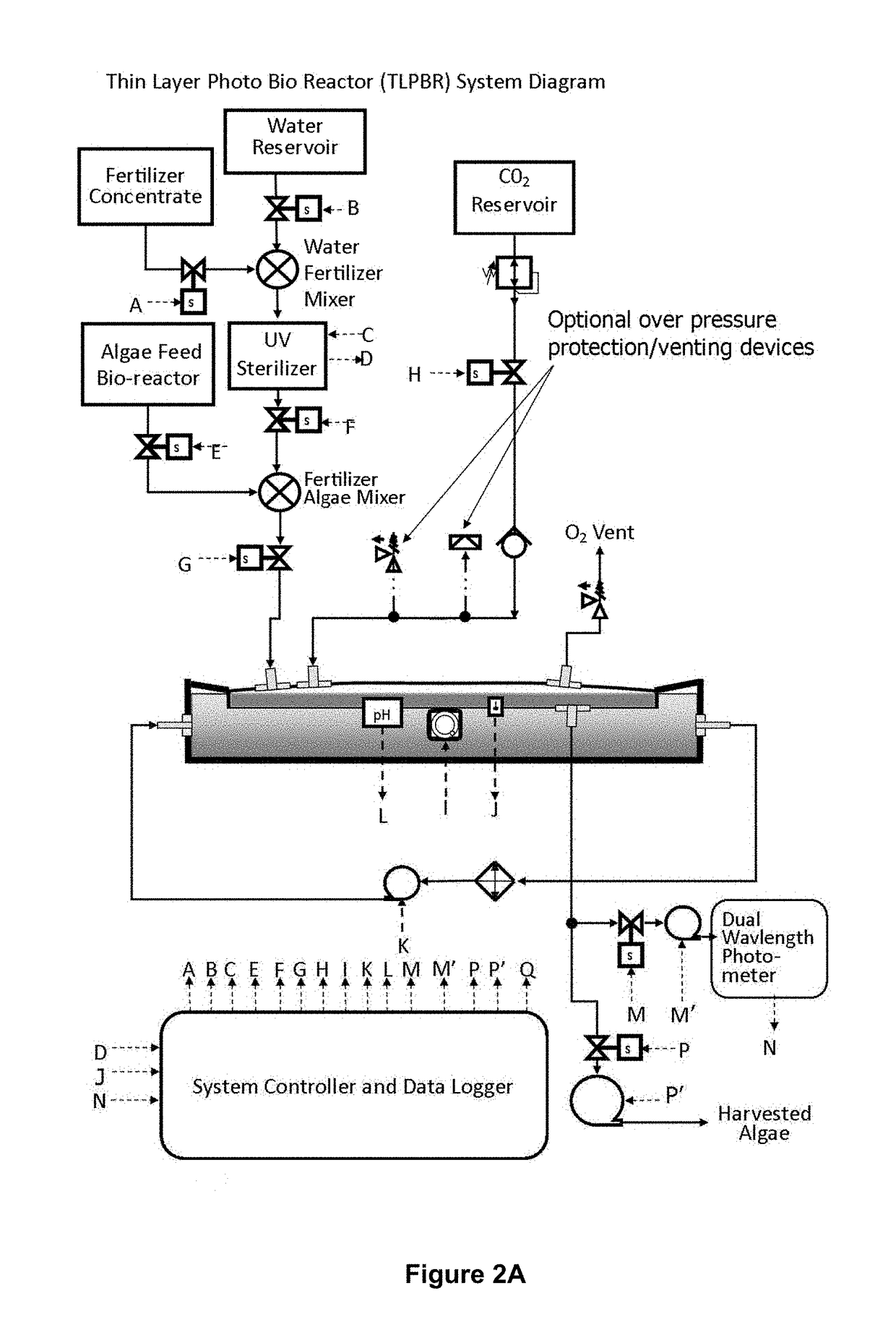 Photobioreactor for enclosed horizontal cultivation of microalgae