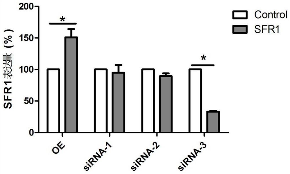 lncrna SFR1 and its application, products and methods for regulating follicle development