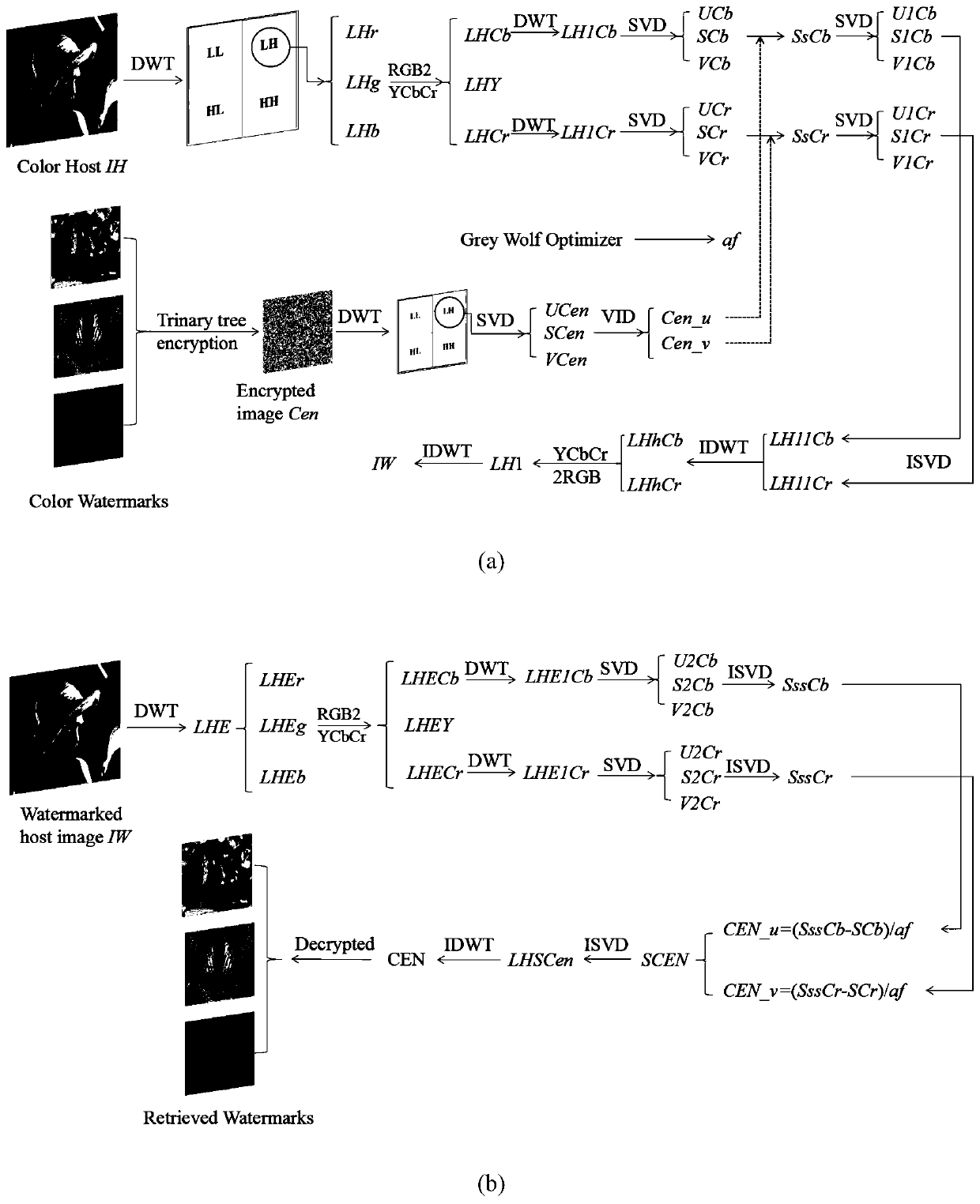 Grey wolf optimization algorithm and complete ternary tree structure wavelet domain color multi-watermark method