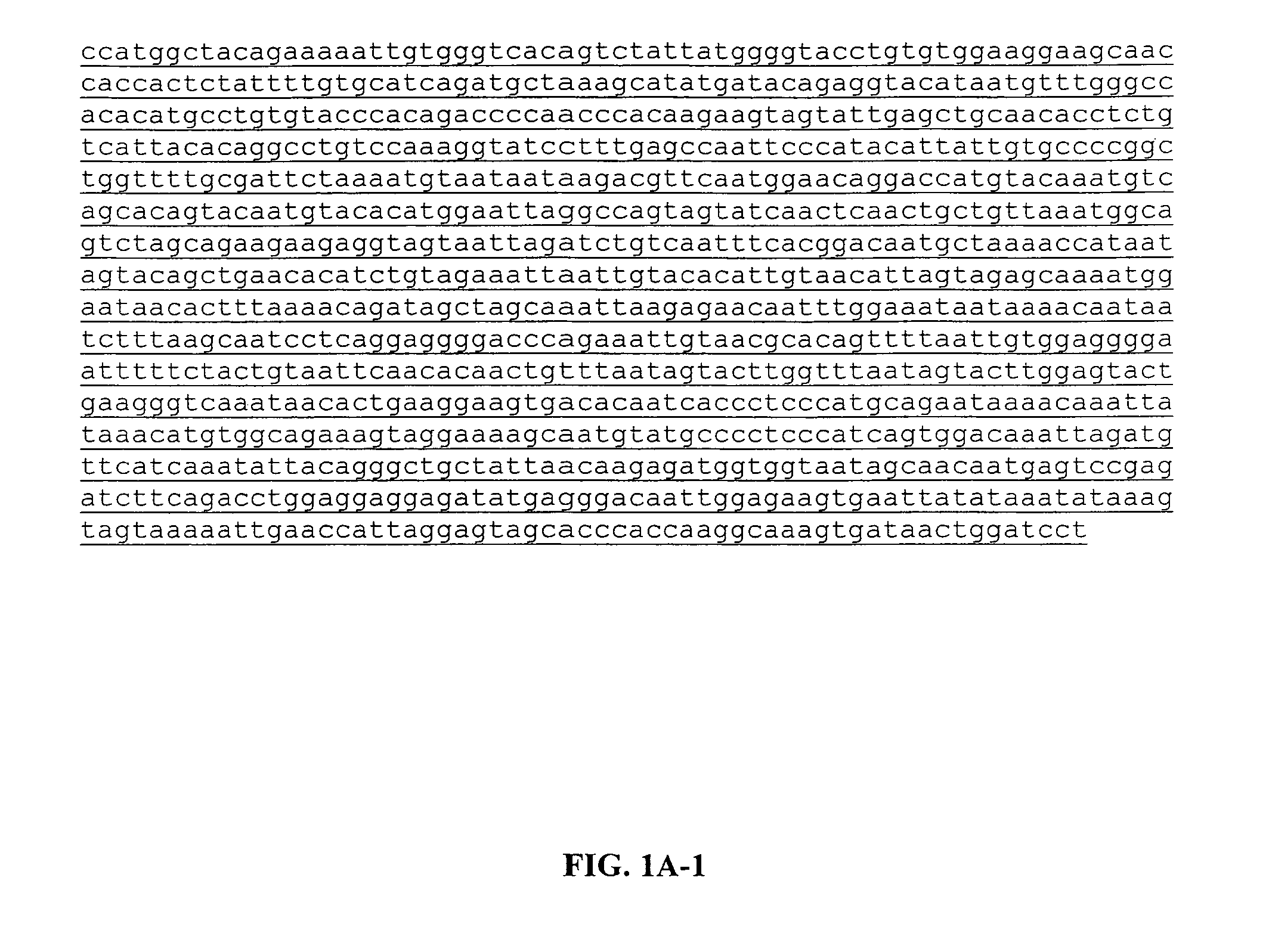 Method for producing catalytic antibodies (variants), antigens for immunization and nucleotide sequence