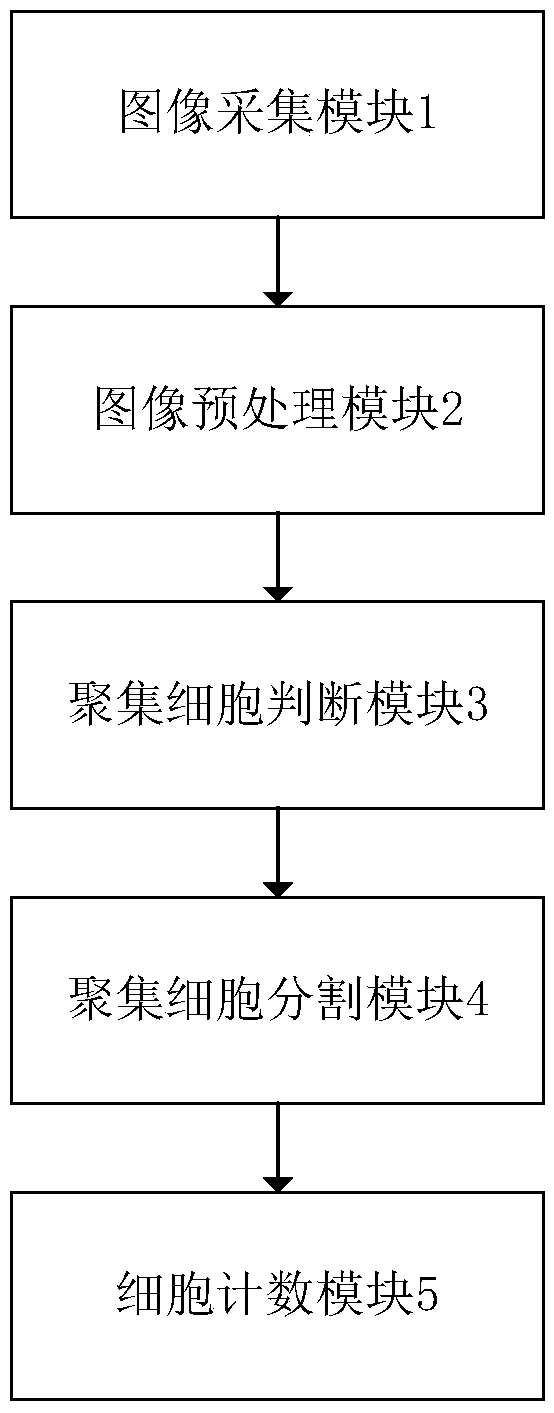 Aggregated white blood cell segmentation counting system and method