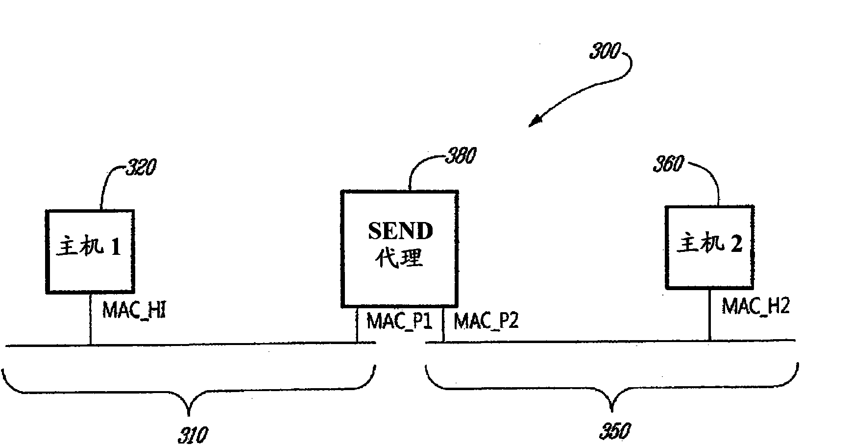 Secure neighbor discovery between hosts connected through a proxy