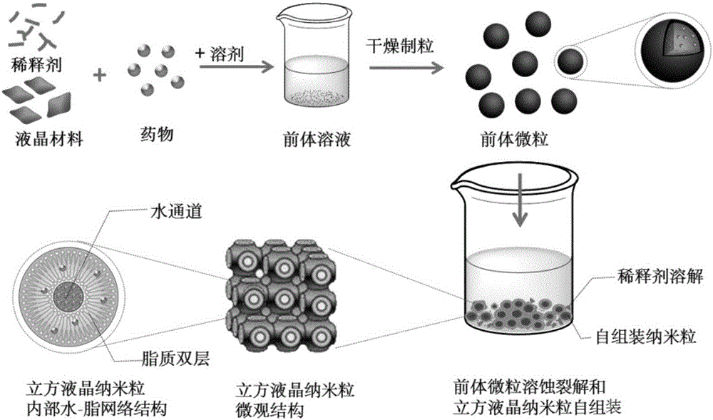 Liquid crystal nanoparticle precursor microparticle, self-assembled liquid crystal nanoparticle and preparation methods thereof