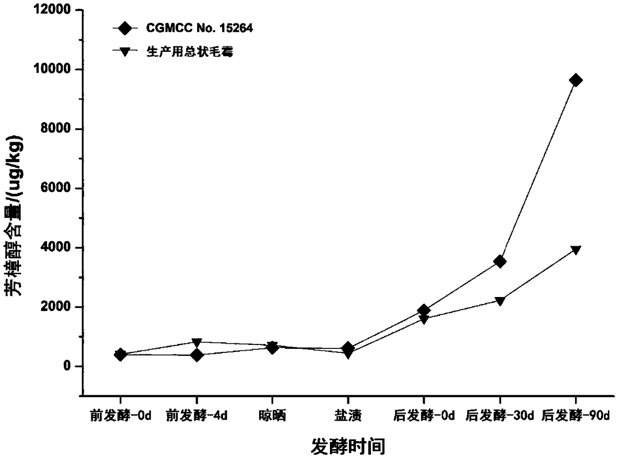 Preparation method of high-yield flower-fragrant and fruit-fragrant oil fermented bean curds