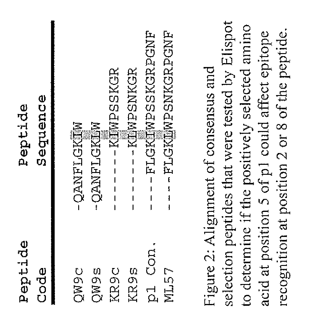 HLA Epitope Identification