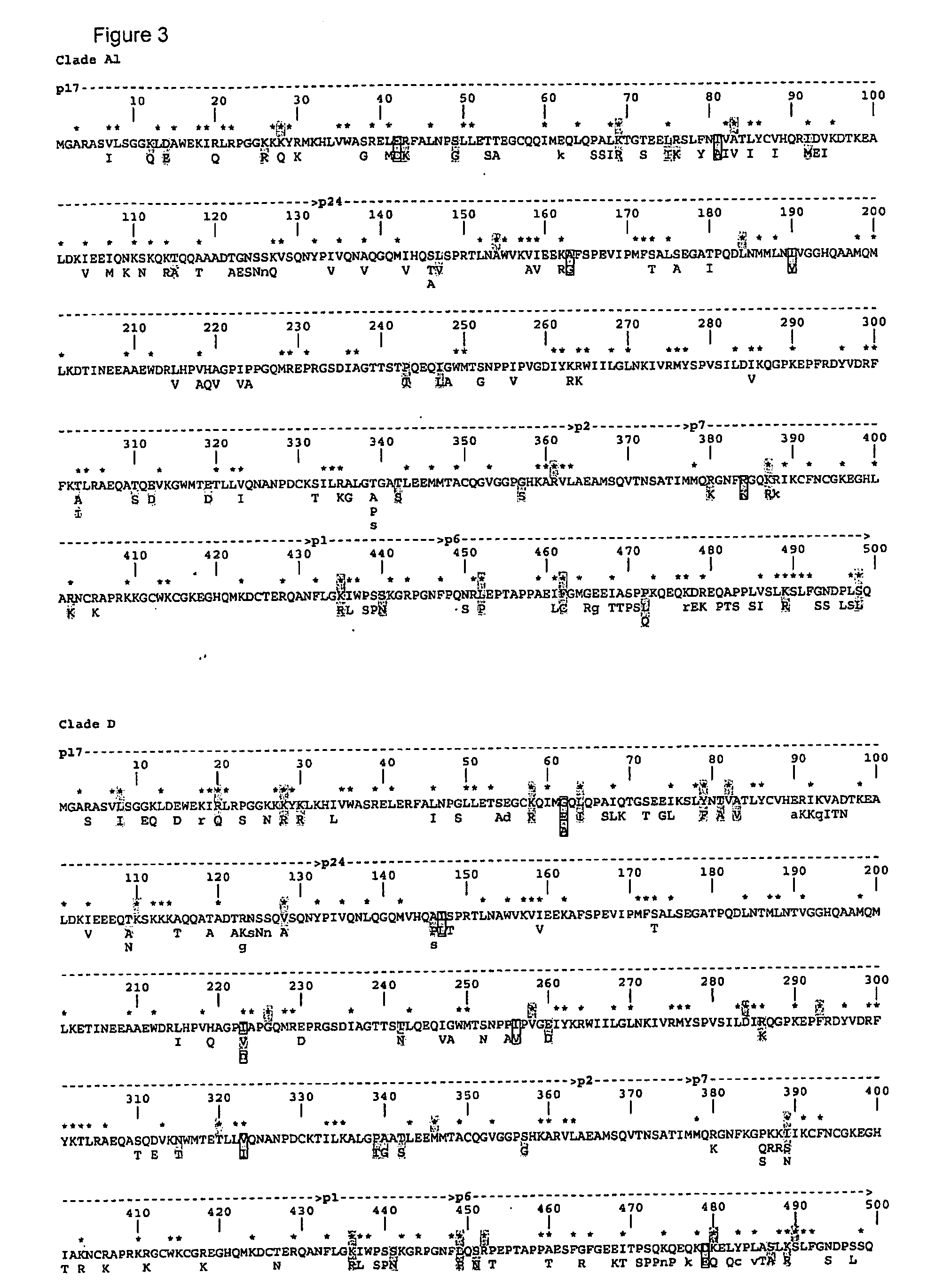 HLA Epitope Identification