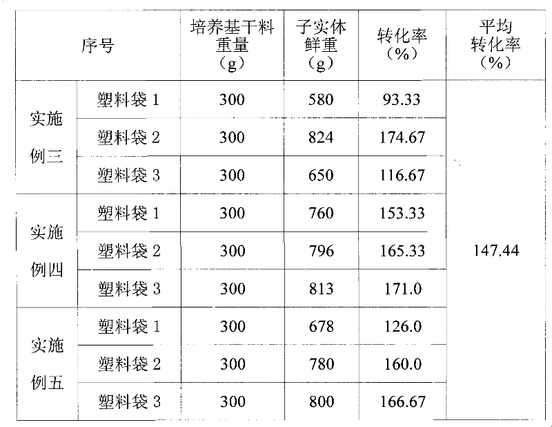 Indoor soilless cultivation method for Tricholoma lobayense Heim