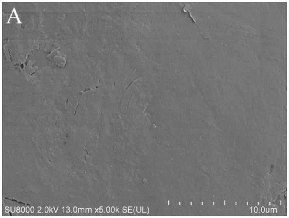 Environment-friendly bio-based fiber flame retardant as well as preparation method and application thereof