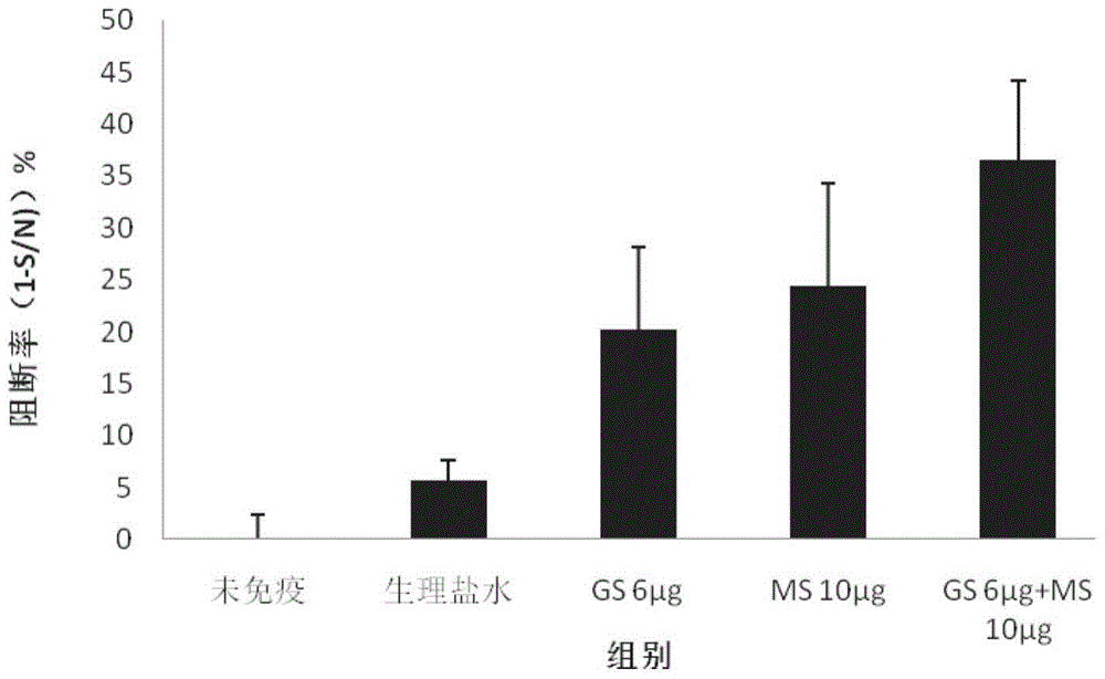 Ginsenoside-containing vaccine diluent