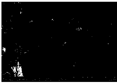 Refractory aggregate, stainless steel casting paint consisting of same and preparation method thereof