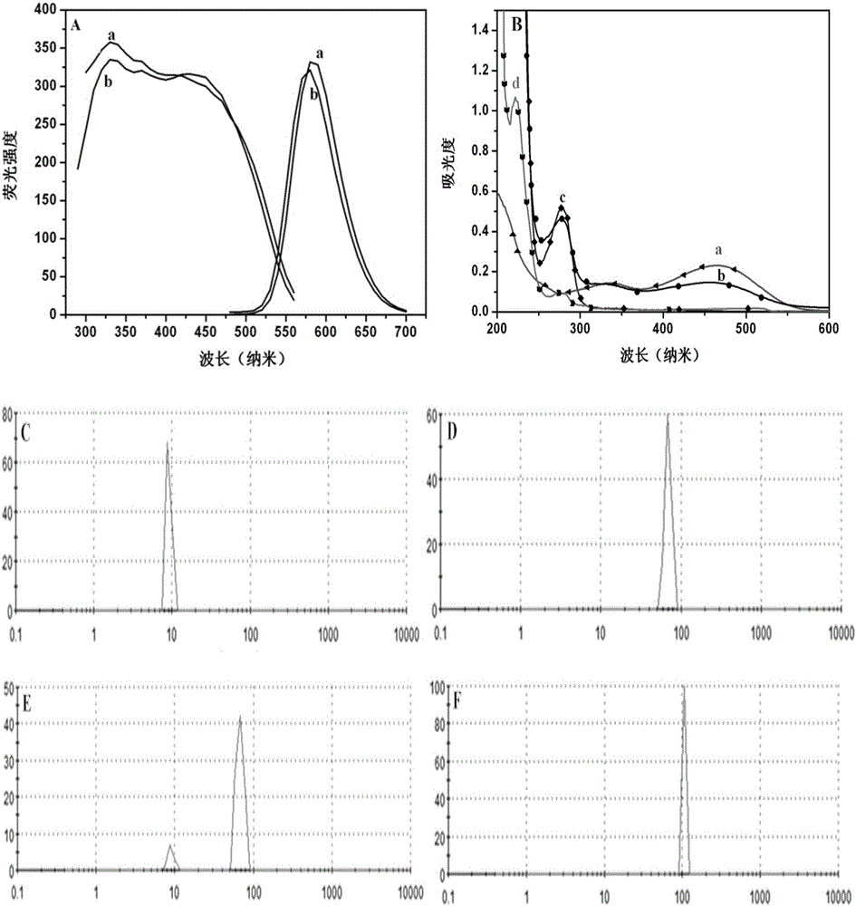 Immunity probe based on polymer luminous point and preparing method and application thereof