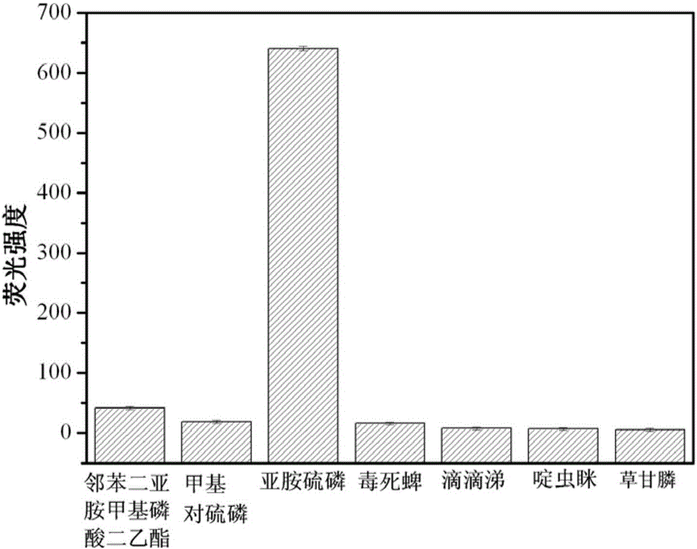 Immunity probe based on polymer luminous point and preparing method and application thereof