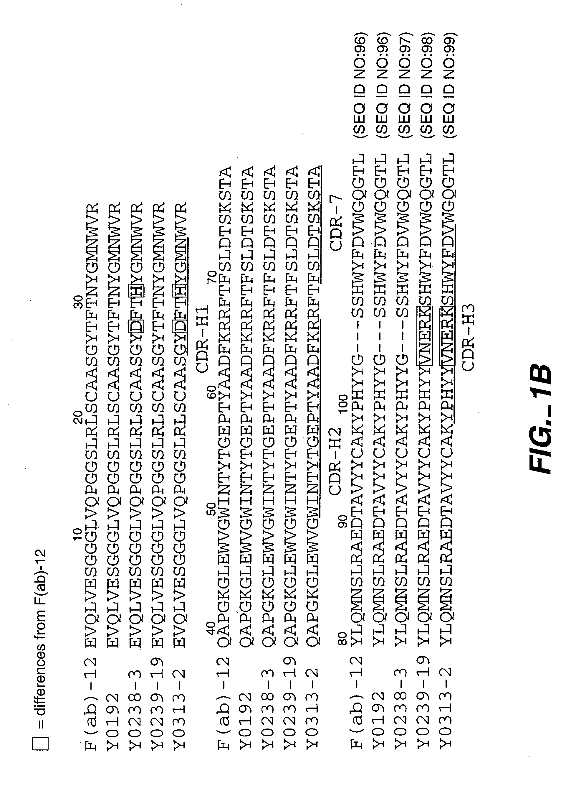 Antibody variants