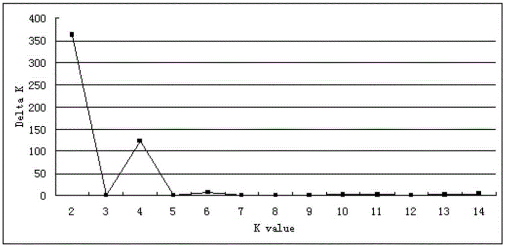 Upland cotton SNP marker and application thereof