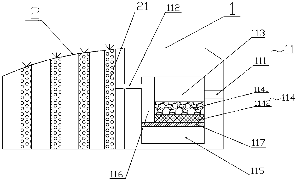 Road shoulder water drainage and water collecting device