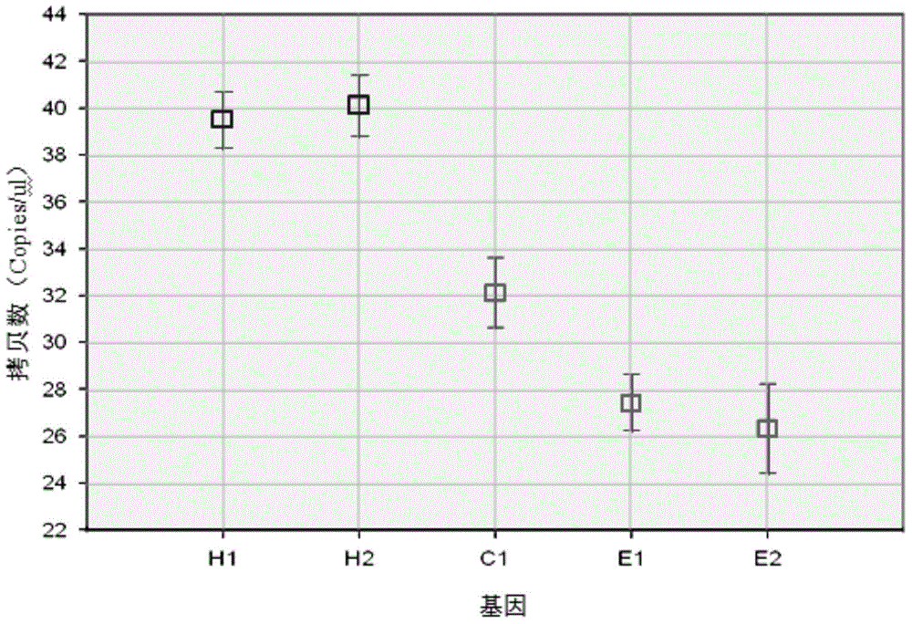 Method for detecting HER 2 positivity of breast cancer through ddPCR technology