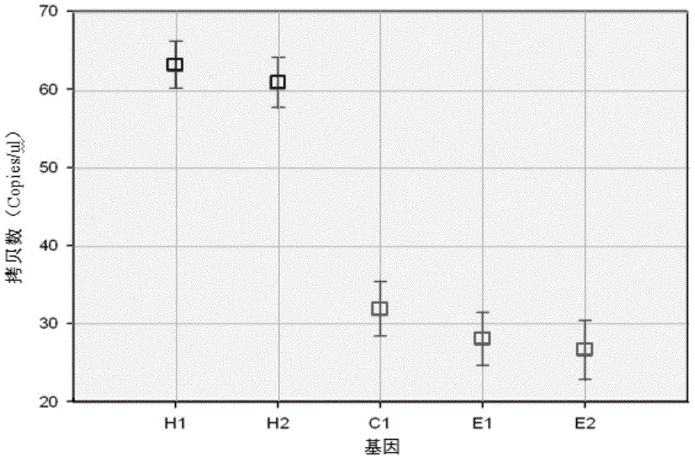 Method for detecting HER 2 positivity of breast cancer through ddPCR technology