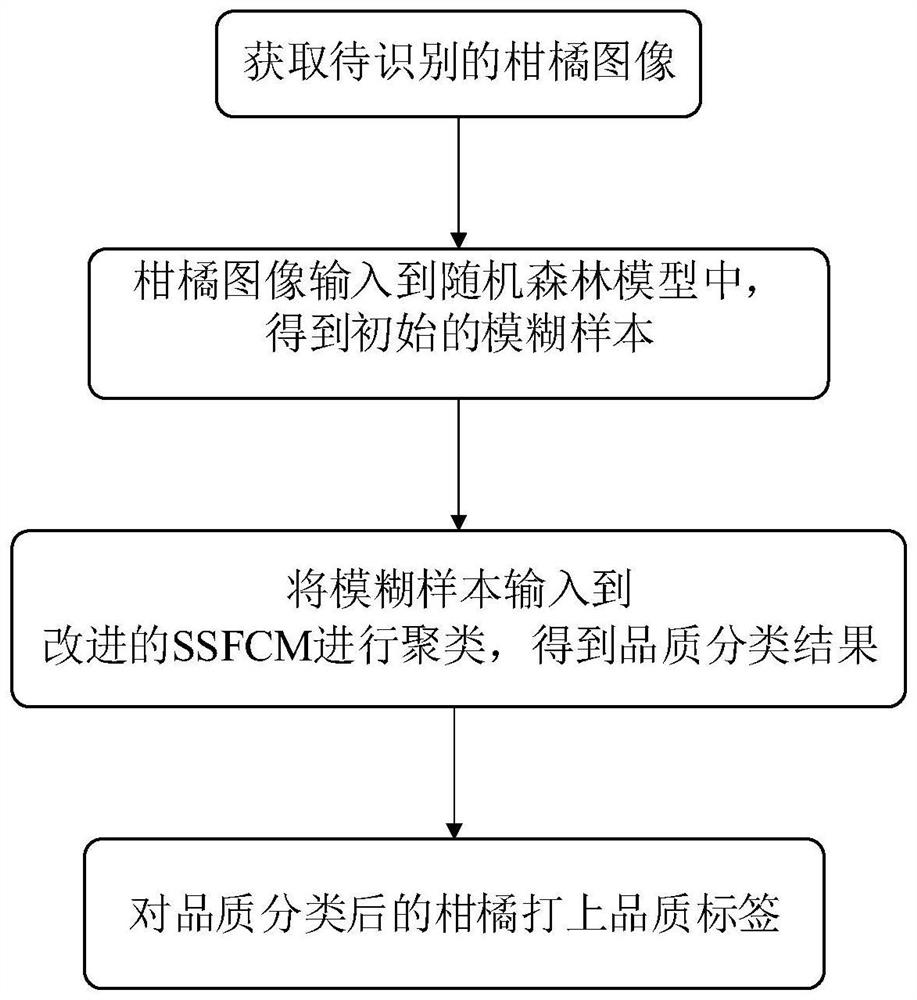 Citrus quality classification method and system based on random forest model and fuzzy clustering