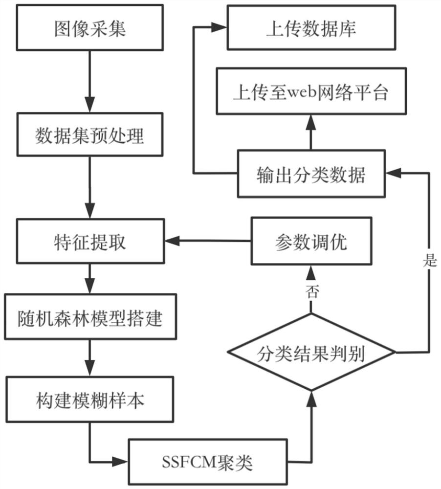 Citrus quality classification method and system based on random forest model and fuzzy clustering