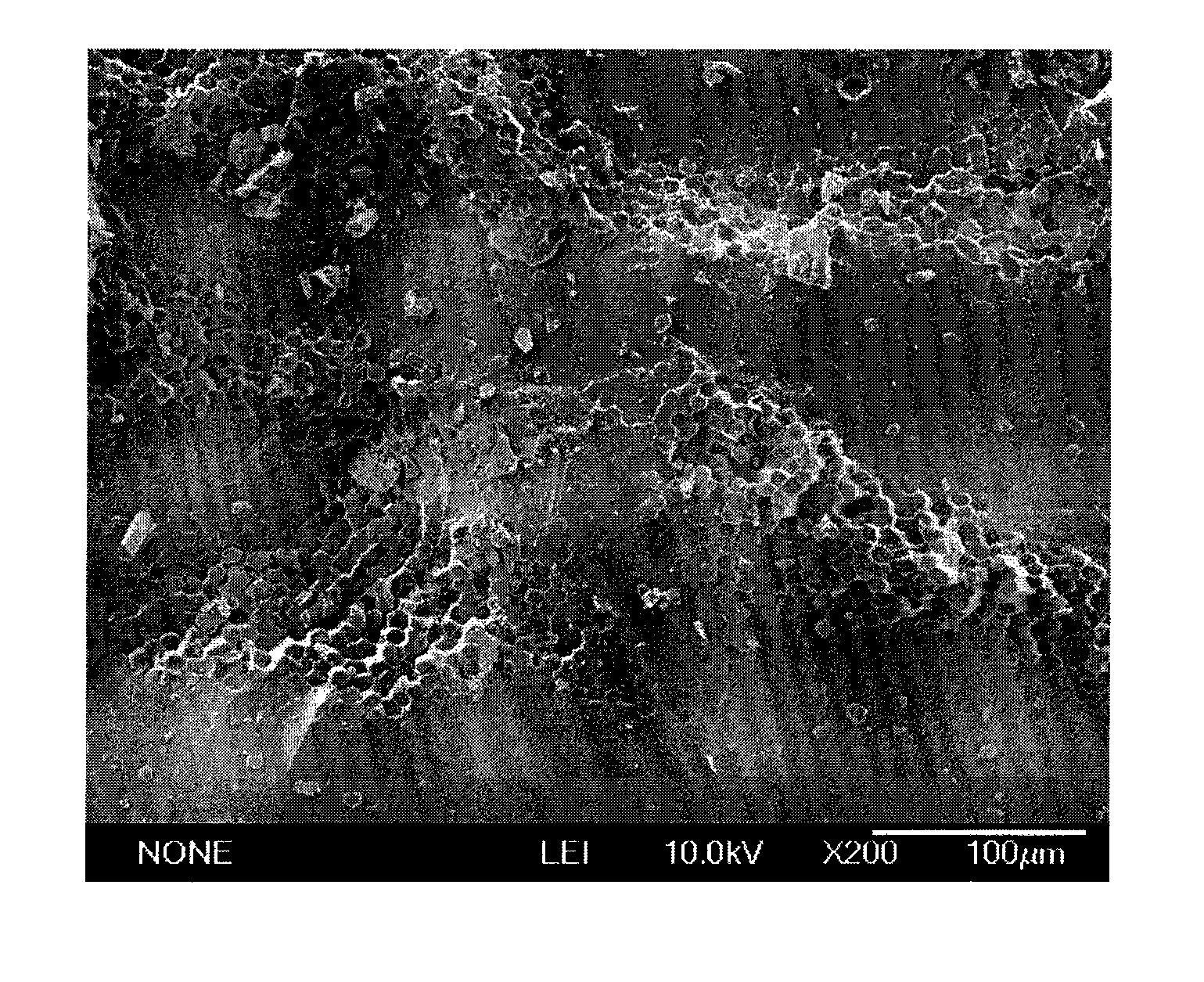 Fiber composite material with microwave absorbing function and preparation method thereof