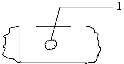 Closed type throat swab sampling device