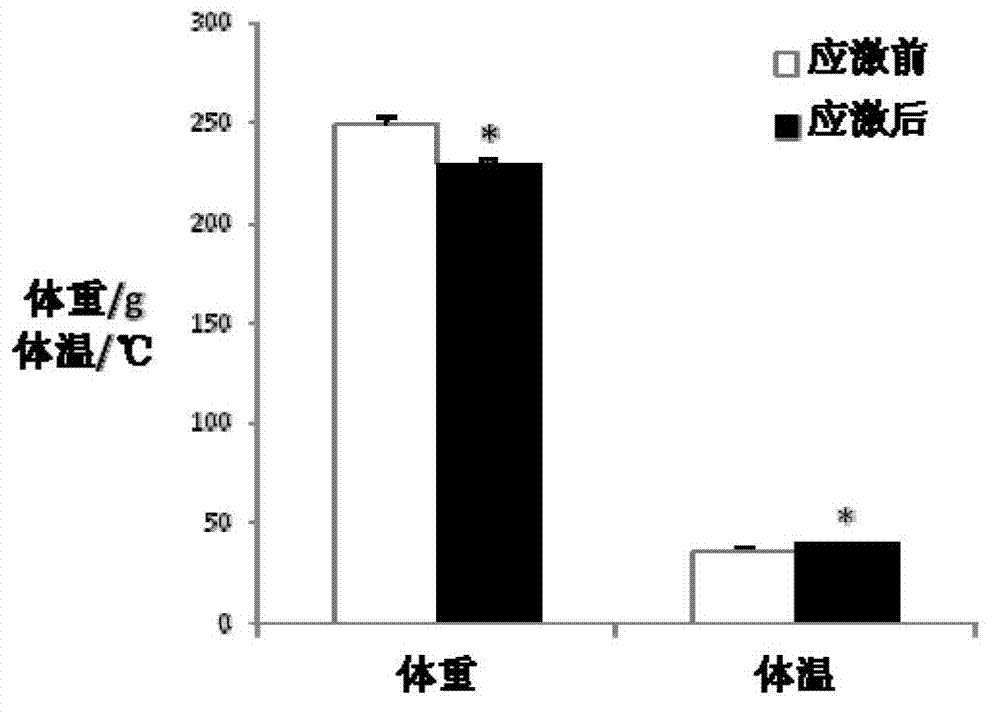 Gene chip for evaluating transport stress model and application of gene chip for evaluating transport stress model