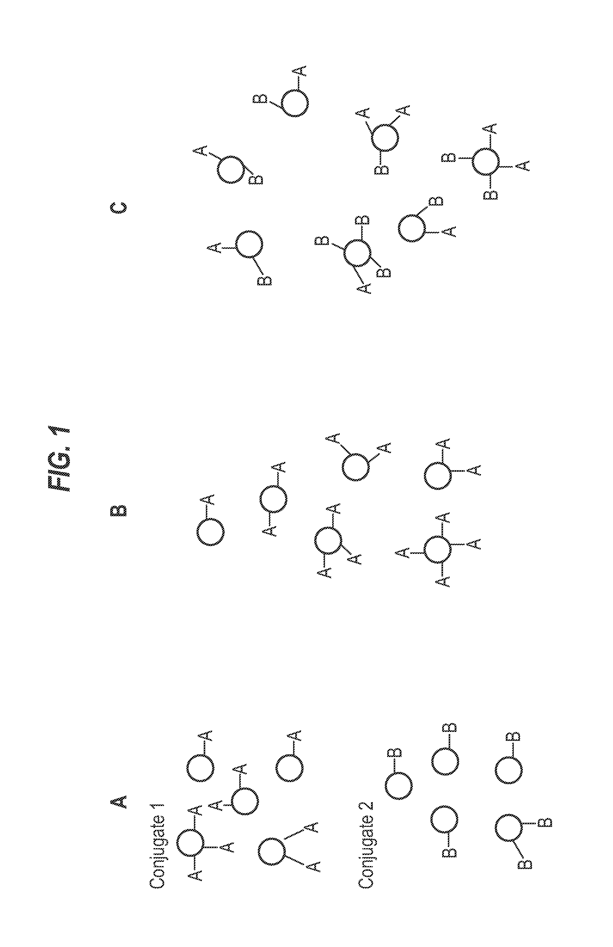 Saccharide Conjugate Vaccines