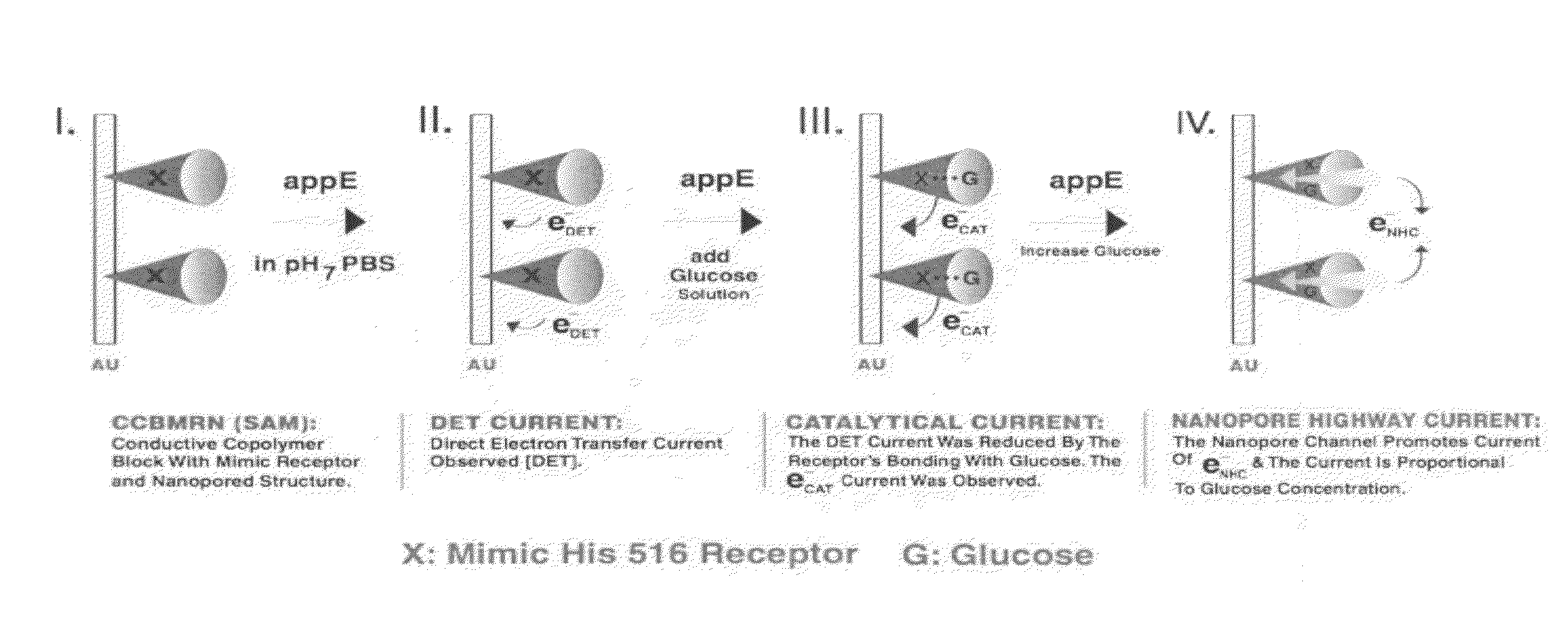 Nanopore structured electrochemical biosensors