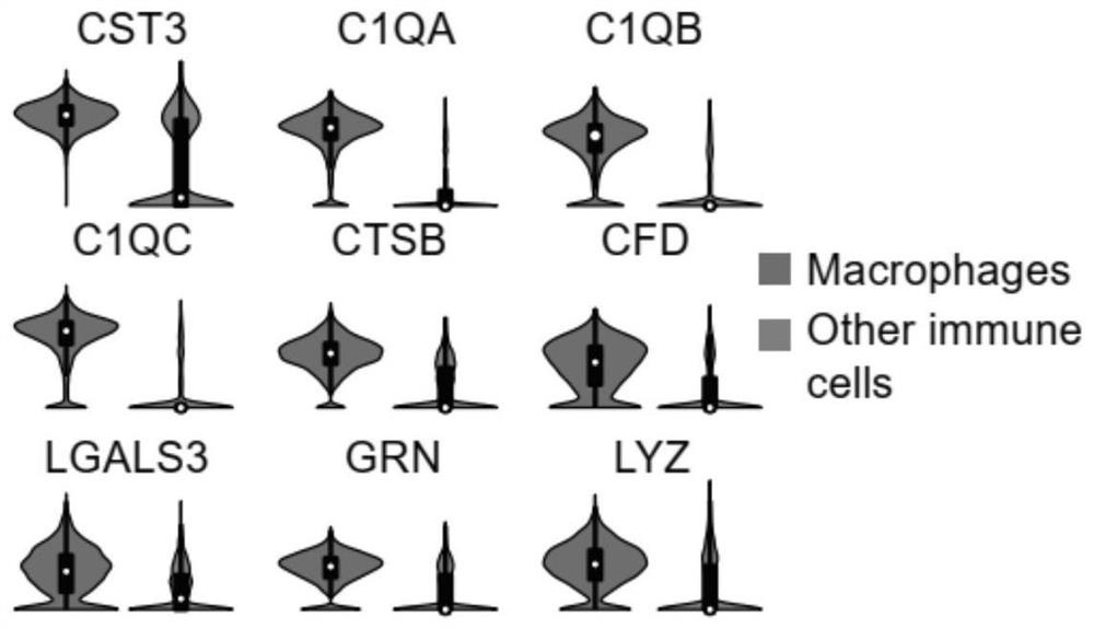 Marker for predicting curative effect of harmful ventricular remodeling and immunotherapy of myocardial infarction patient and application of marker