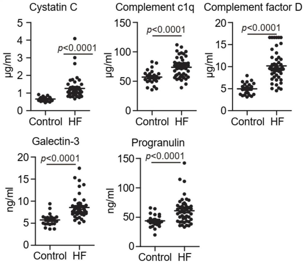 Marker for predicting curative effect of harmful ventricular remodeling and immunotherapy of myocardial infarction patient and application of marker