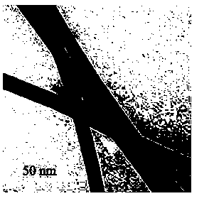 Preparation method of CIST nano wire