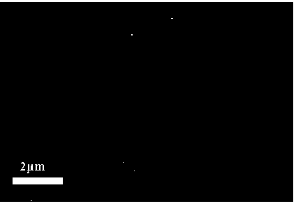 Preparation method of CIST nano wire