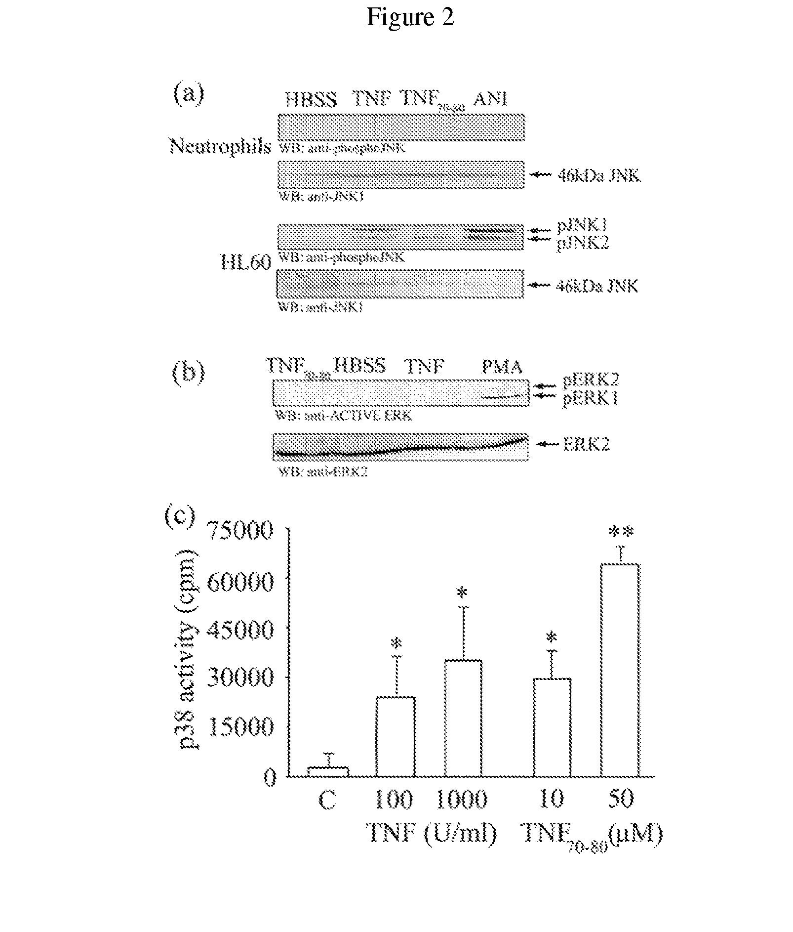 Selective Modulation of Receptor Signalling