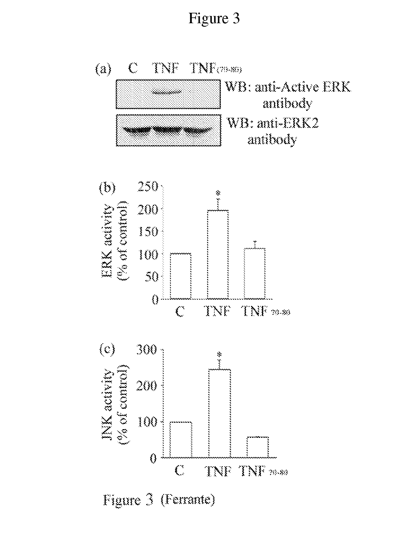 Selective Modulation of Receptor Signalling