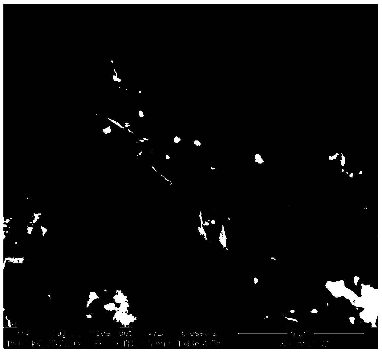 Adsorbent for removing radioactive iodine ions and application of adsorbent