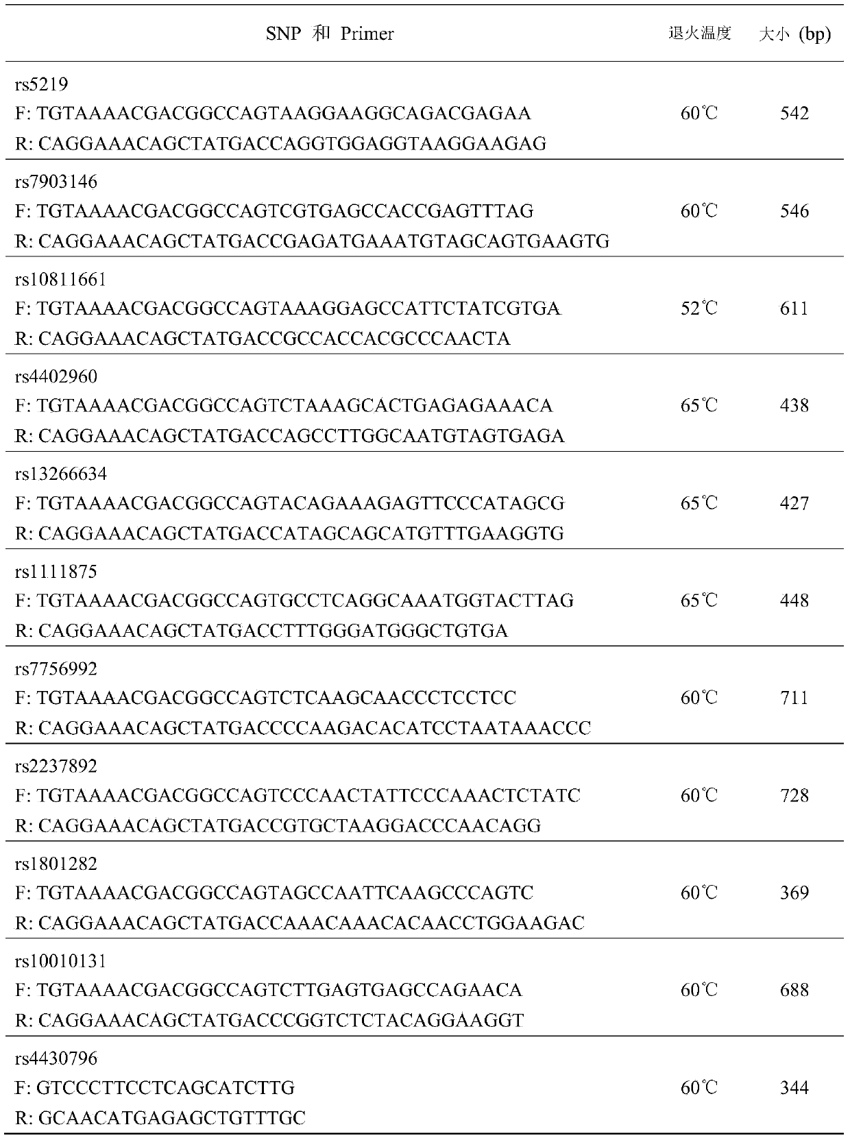 SNPs primers for detecting type 2 diabetes risk and application thereof