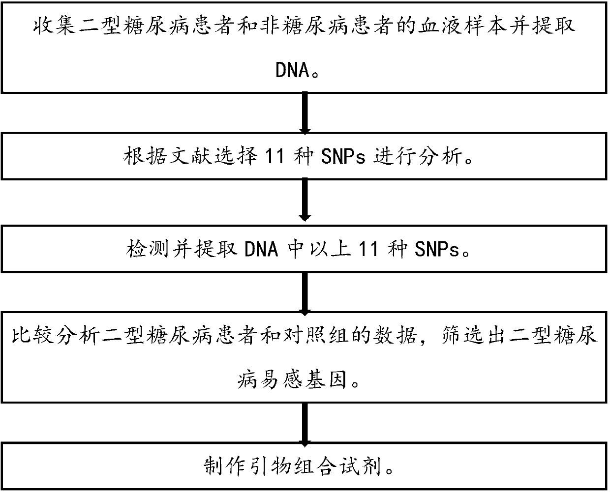 SNPs primers for detecting type 2 diabetes risk and application thereof