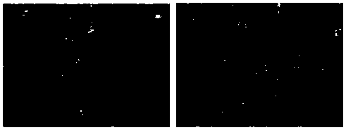 Steel hot stamping product with aluminum or aluminum alloy coating and manufacturing method thereof