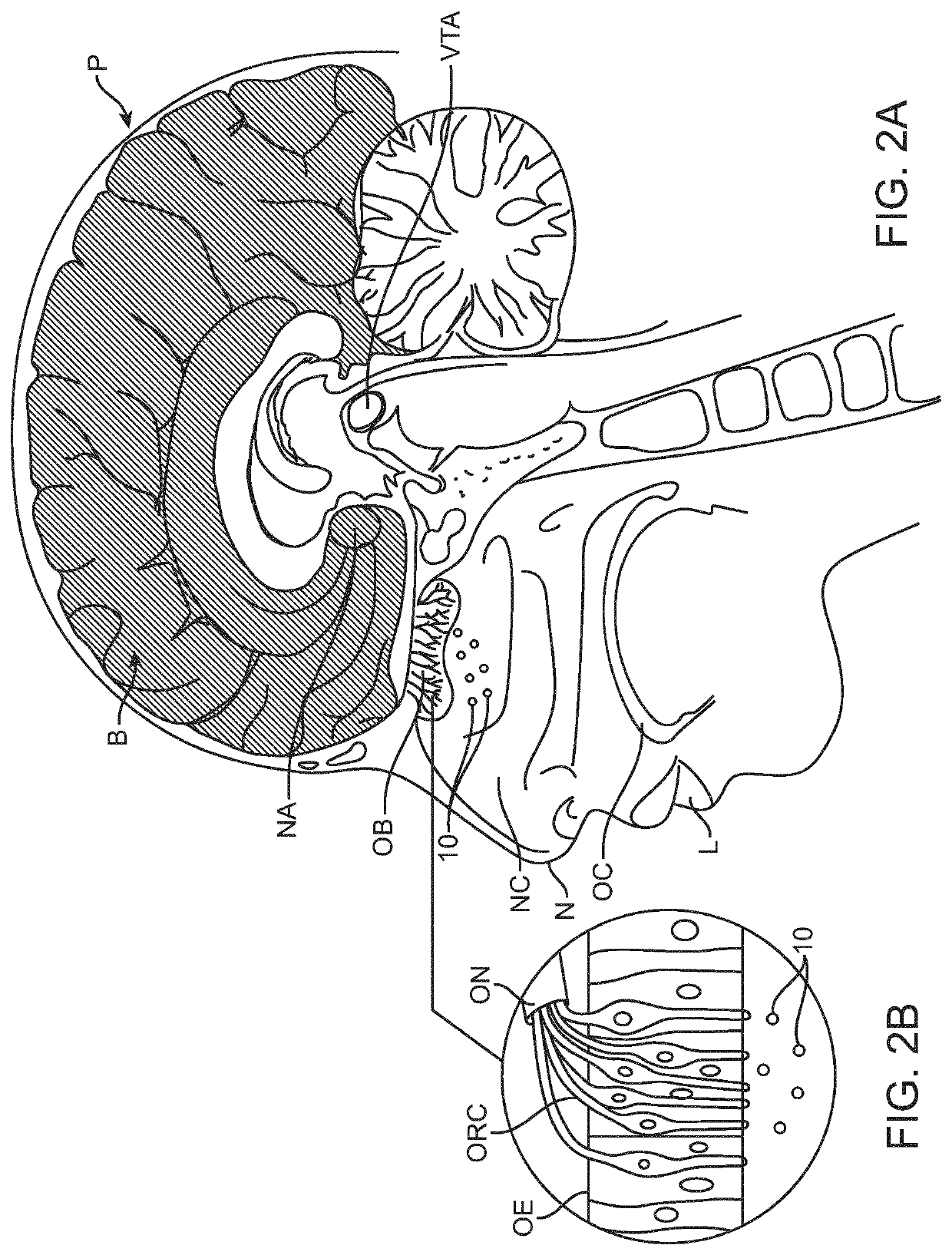 Devices, systems and methods for delivering coffee-derived volatiles