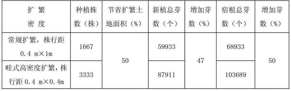 High-density expanding propagation method of healthy sugarcane seedlings