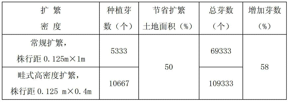 High-density expanding propagation method of healthy sugarcane seedlings