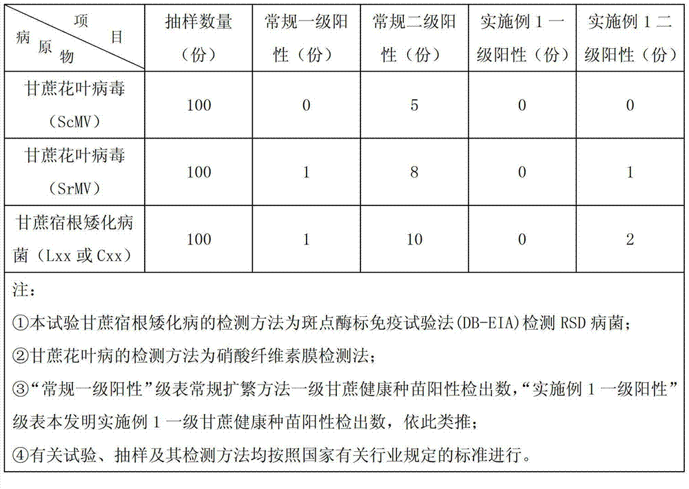 High-density expanding propagation method of healthy sugarcane seedlings