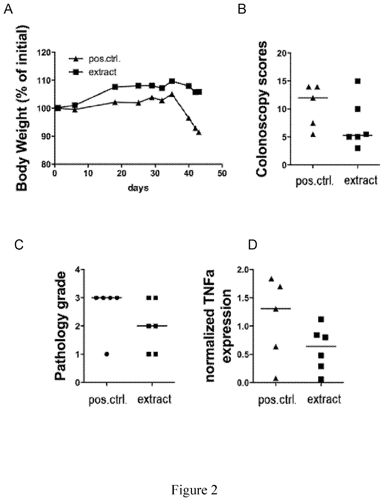 Use of heliocbacter pylori extract for treating or preventing inflammatory bowel diseases and coeliac disease